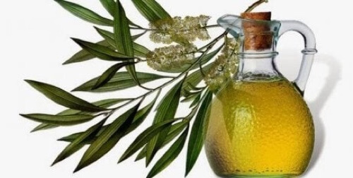 Olio essenziale di melaleuca