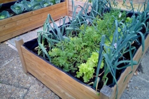 Orto in giardino