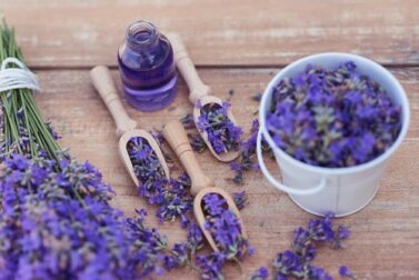 Rimedi rilassanti alla lavanda per combattere lo stress