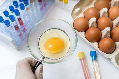 Analisi delle uova in cerca del batterio salmonella.