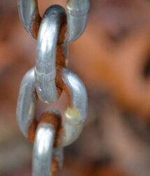 Resilienza: cos'è e perché è utile svilupparla?