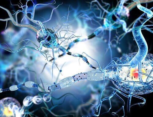 Anomalia dei neuroni ed epilessia.