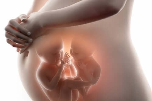 Fetus in fetu: tutto quello che c’è da sapere