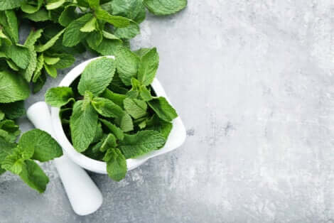 L'olio essenziale di menta risulta efficace contro la emicrania nei bambini.