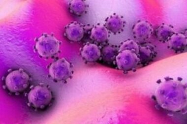 Cosa sono i germi e dove si trovano?