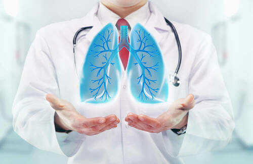 Illustrazione che rappresenta dei polmoni.