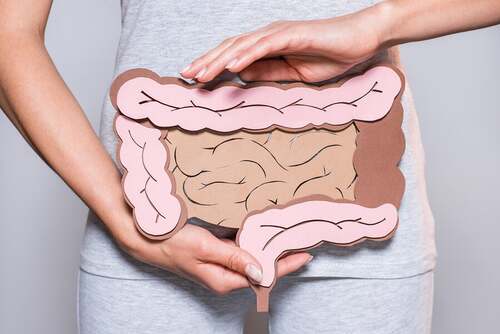 Donna che tiene un intestino di cartapesta.