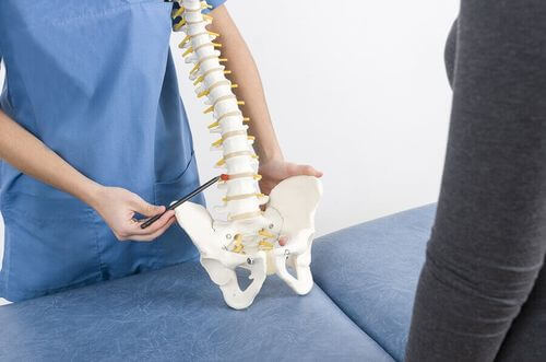 Medico con modello di colonna vertebrale.