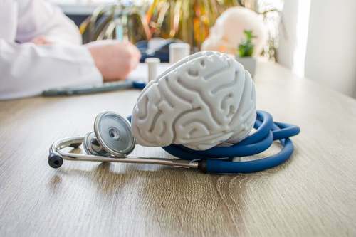 Modellino di un cervello.