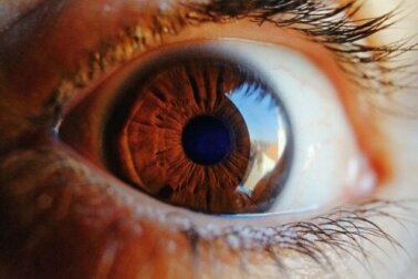 L'occhio si pulisce da solo: cosa dice la scienza