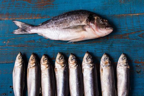 Pesce azzurro nella dieta per lo anziano.