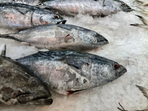 Pesce crudo portatore di potenziali batteri dannosi per l'uomo.