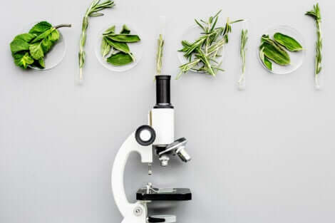 Microscopio per modificare i cibi.