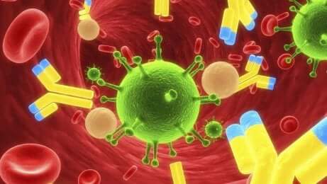 Il morbillo è una malattia provocata da un virus.