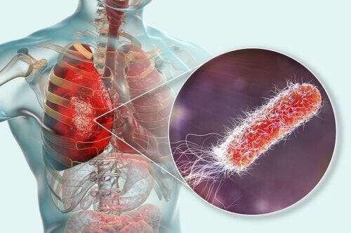 Batteri nei polmoni: cause, sintomi e trattamento
