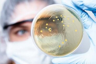 Coltura delle feci: in cosa consiste?