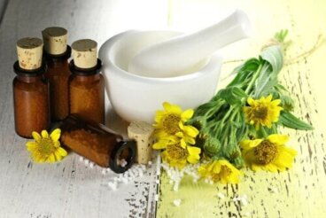 Arnica: proprietà, usi e controindicazioni