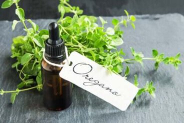 Olio di origano fatto in casa: quali sono i benefici?