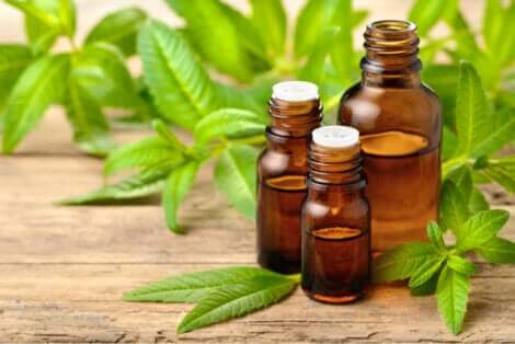 Olio essenziale di verbena.