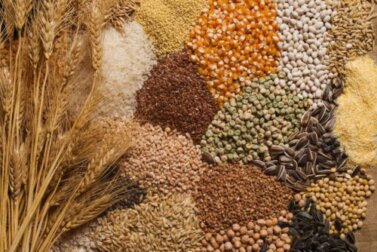 Semi a tavola: consigli per inserirli nella dieta