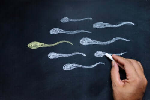 Aumentare il testosterone in modo naturale