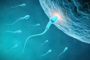 Qualità dello sperma e alimentazione