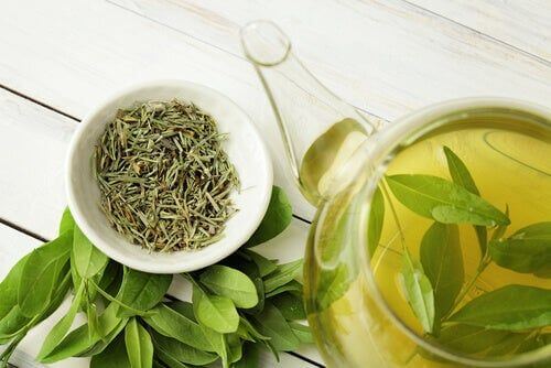 Aumentare la longevità con il tè verde
