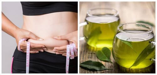 Il tè verde aiuta a perdere il grasso addominale.