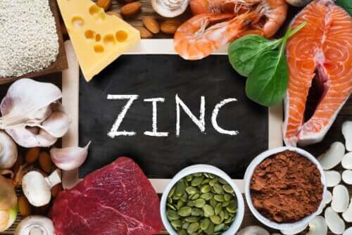 Funzioni dello zinco nell'organismo