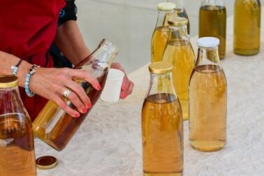 Tè kombucha: valori nutrizionali e rischi