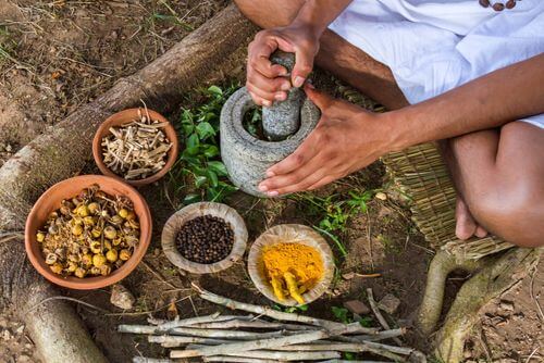 Dieta ayurvedica e piante medicinali nel mortaio.