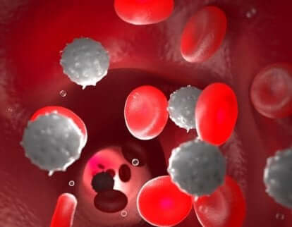 Globuli del sistema immunitario contro la criptosporidiosi.