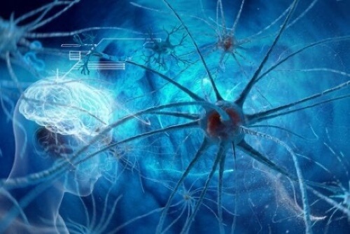 Neuroni e connessioni nel cervello.