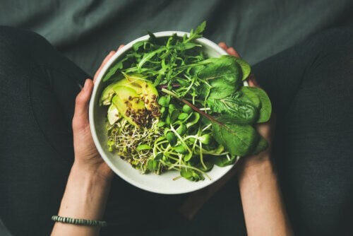 Mani e ciotola con cibi vegani.