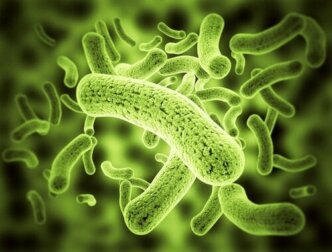 La criptosporidiosi: concetti fondamentali