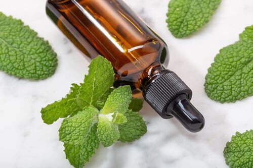 Olio essenziale di menta per la gastrite nei bambini.