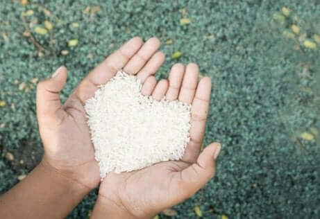 Mani giunte che reggono del riso bianco a forma di cuore.