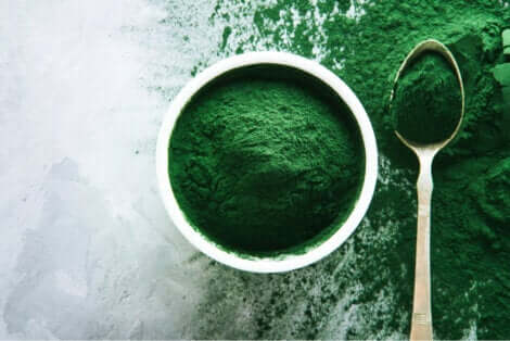 Spirulina in polvere.