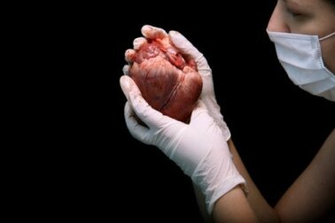 Trapianto di cuore: definizione e caratteristiche