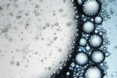Acqua micellare al microscopio.