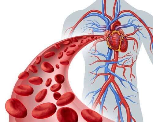 Causa della displasia fibromuscolare.