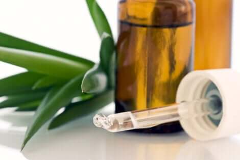 Gocce di aloe vera.