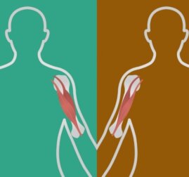 Malattie neuromuscolari: cause e sintomi