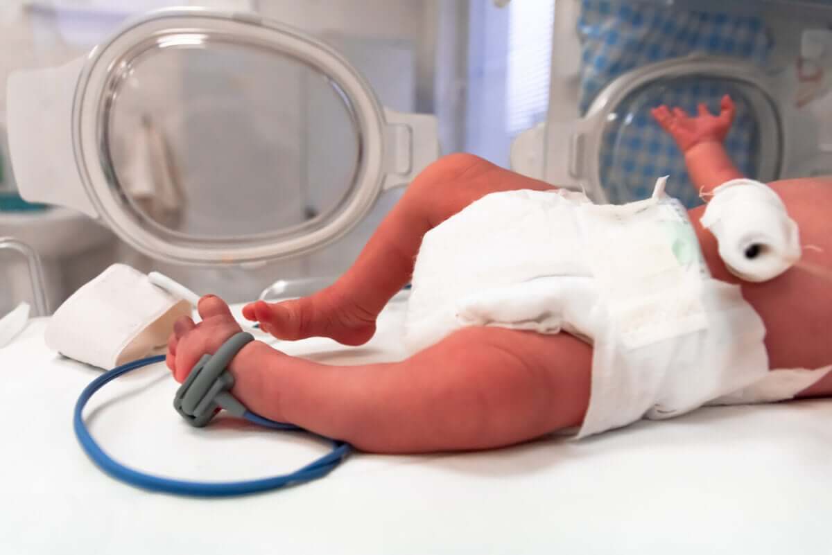 Bambino nato prematuro nella incubatrice.