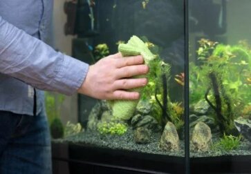 Pulire l'acquario in modo semplice