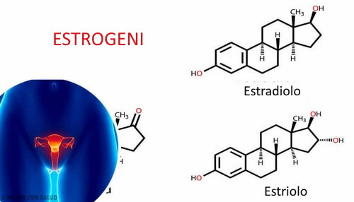 Composizione chimica degli estrogeni.