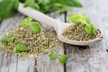 Cucchiai con origano secco.