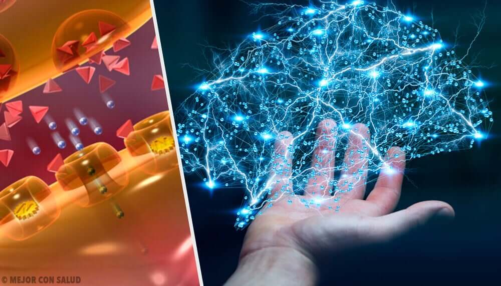 Effetti delle endorfine sul cervello.