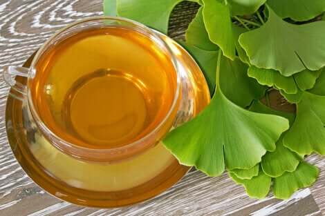 Infusione di ginkgo biloba.
