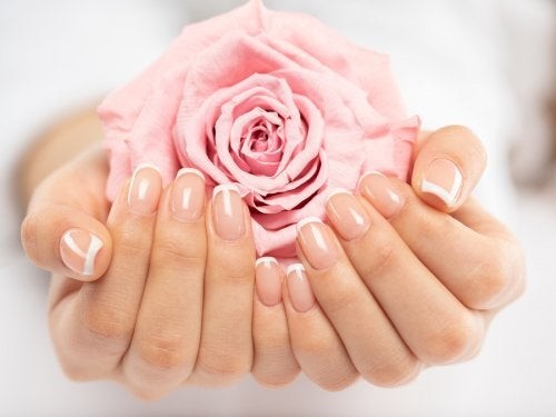 Chirurgia estetica genitale: labioplastica e ninfoplastica